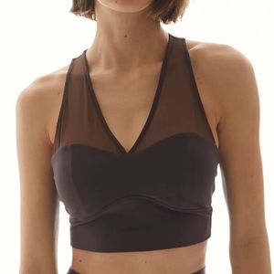 NWT Lanston Sierra Mesh Panel Bra
